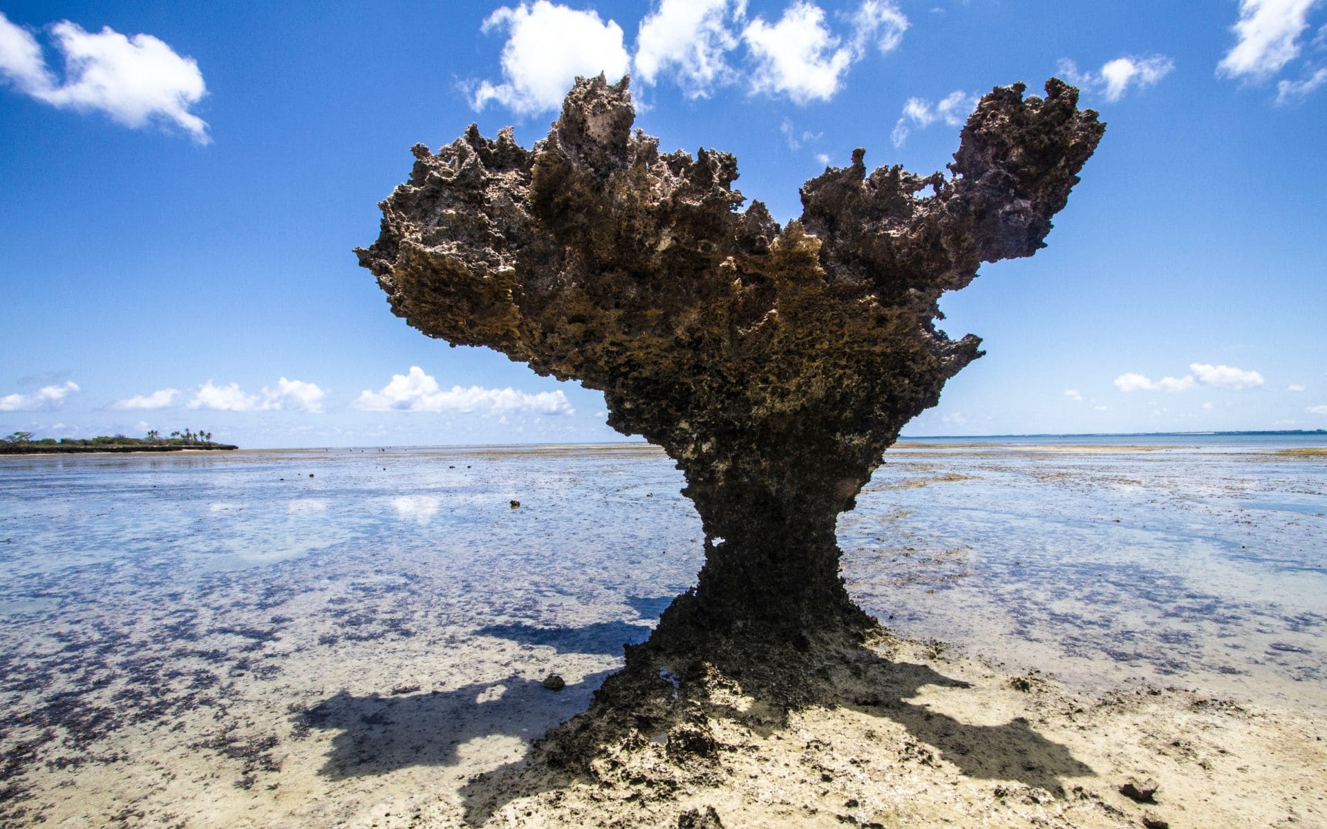 A coral rock formation standing out along the shoreline in Mozambique.