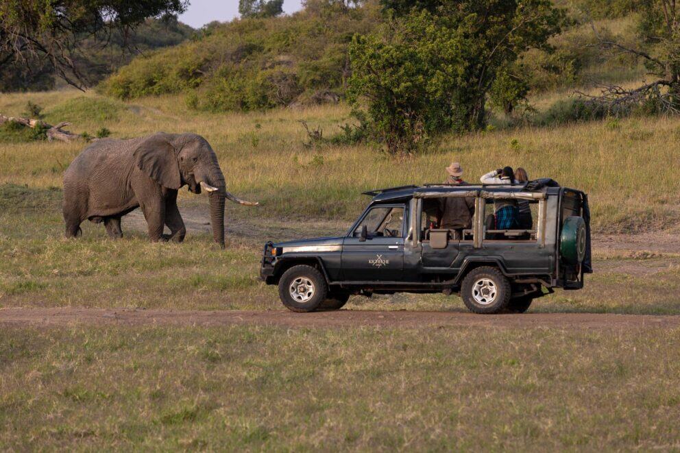 Elephant roaming pass a safari vehicle at Kicheche Mara Camp, Mara North Conservancy.