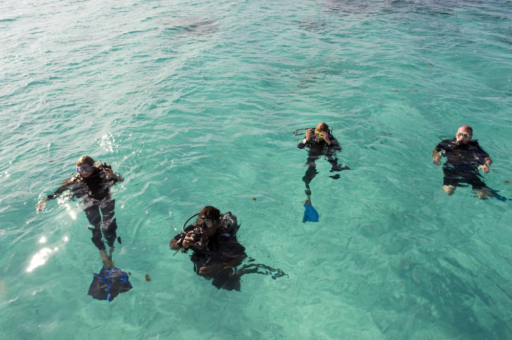 View of four divers in black wetsuits, goggles and oxygen tanks in clear ocean water.