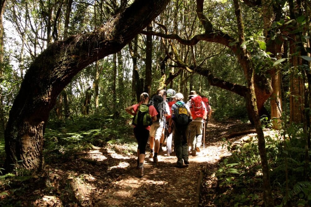 Hiking in Arusha National Park | Photo credits: Legendary LOdge
