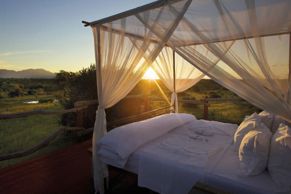 How Much Does a 10-day Kruger Safari Cost?