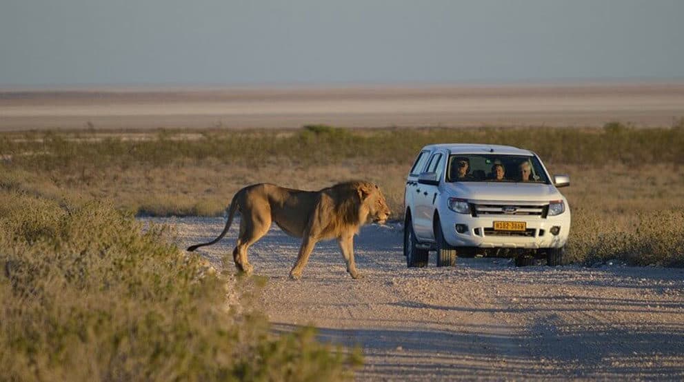 Kruger Safari: How Long Is Long Enough