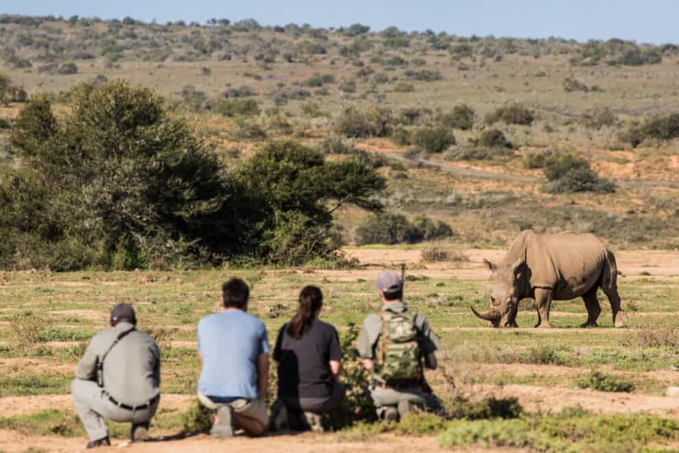 Tourists on a guided walking safari in Kwande Private Game Reserve observing a rhino in the distance.