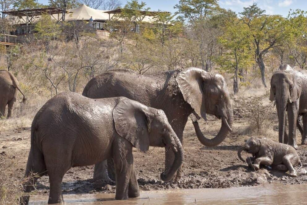 These Victoria Falls Safari Lodges Are Perfect For a Luxury Romantic Holiday