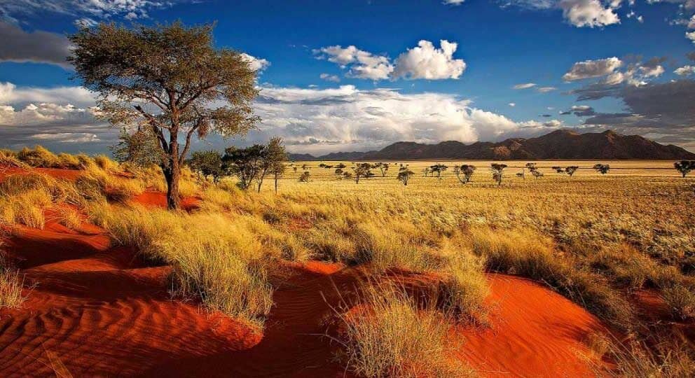 Namibia Travel in the Desert