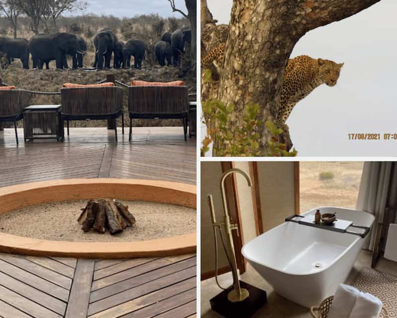 The Perfect Kruger Safari Holiday