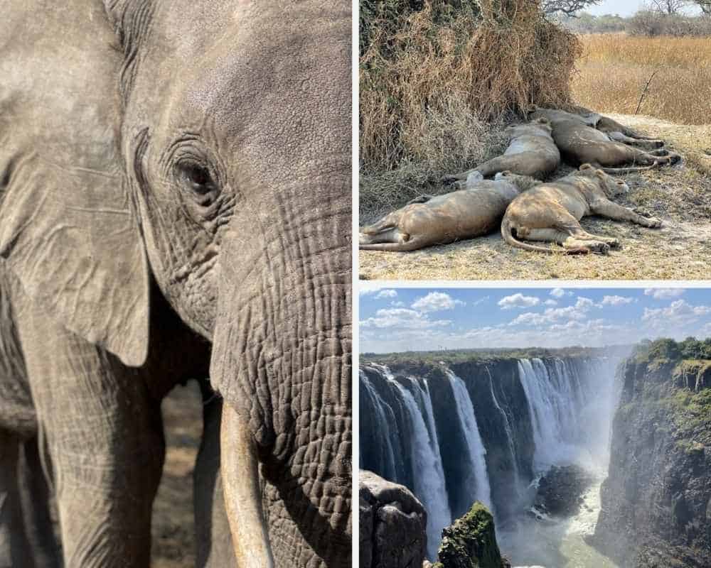 Photos taken by Tahnee and Clifton | United States