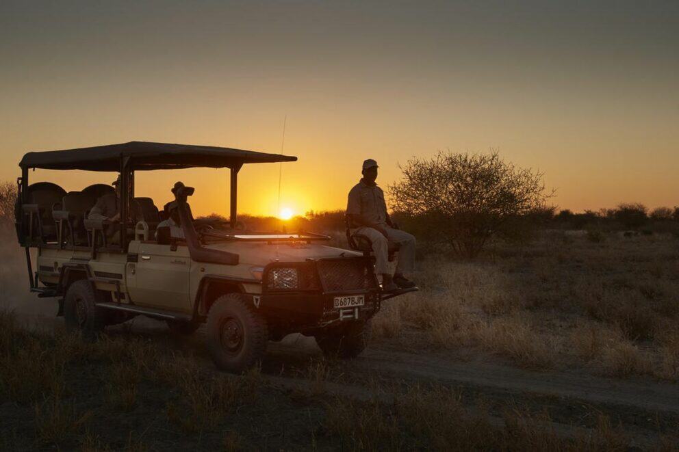 Game drive in the Central Kalahari Game Reserve, a Botswana national park