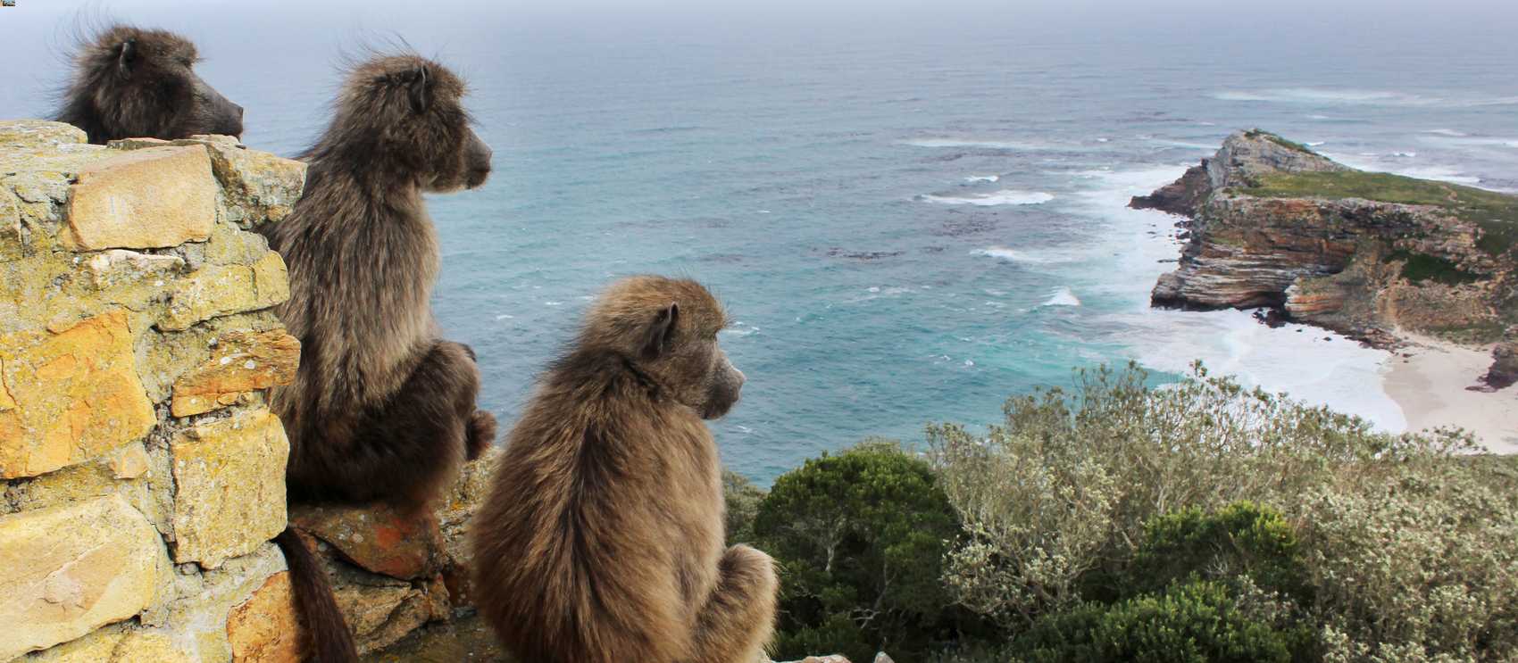 Cape Point South Africa