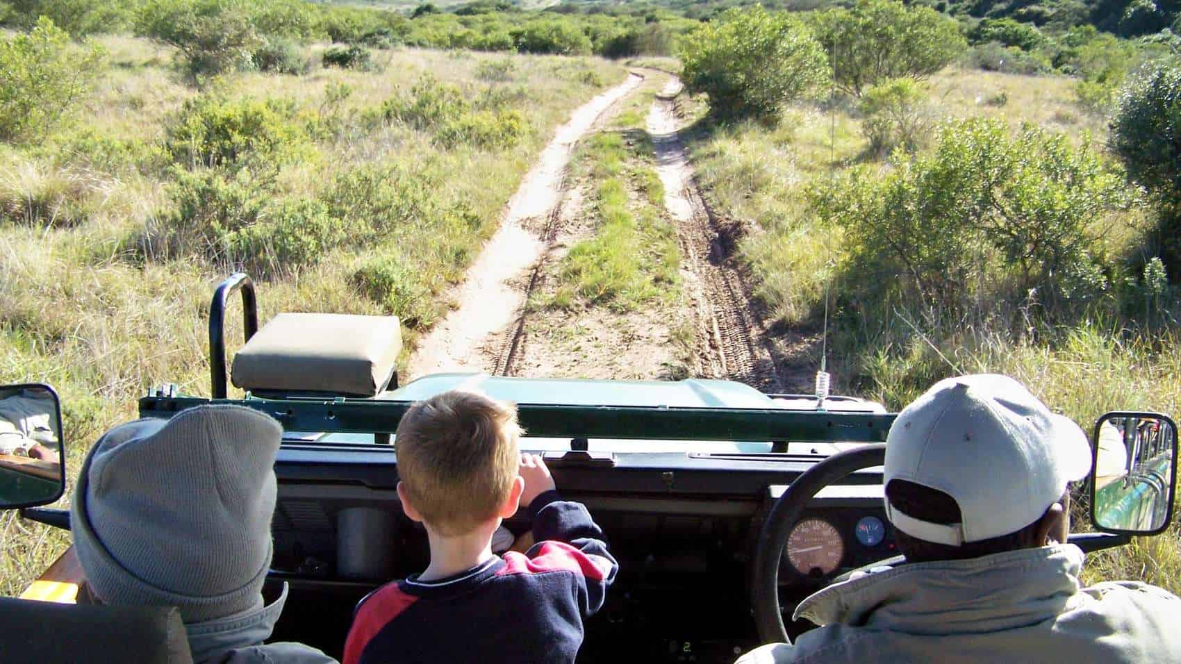 Game drive through Addo Elephant Park