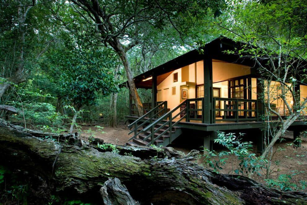 Luxury suite at Phinda Forest Lodge | Photo credits: Phinda Forest Lodge