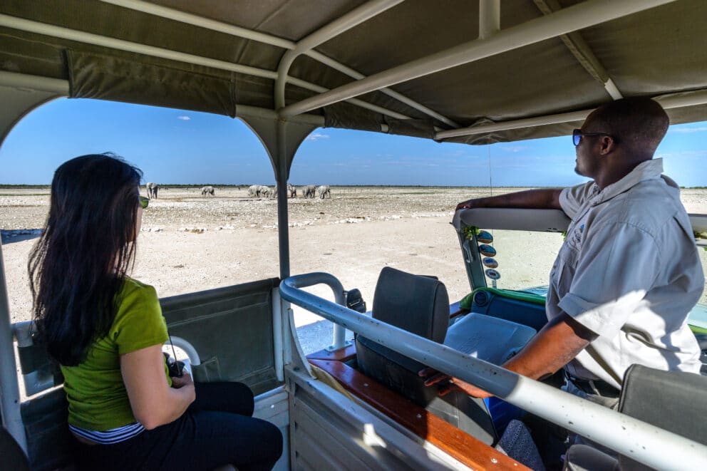 Game drive in Etosha National Park on a family safari in Africa