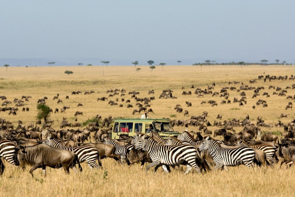 Game drive during the Great Migration