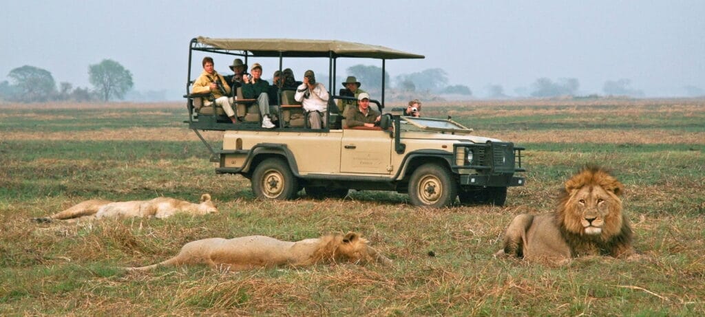 Wilderness Busanga Bush Camp