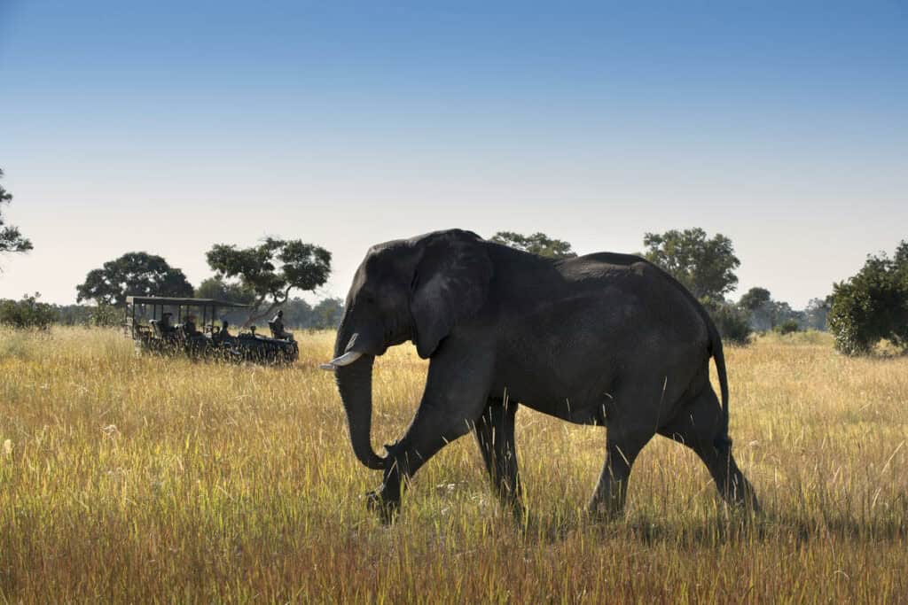 andBeyond Xaranna Okavango Delta Camp