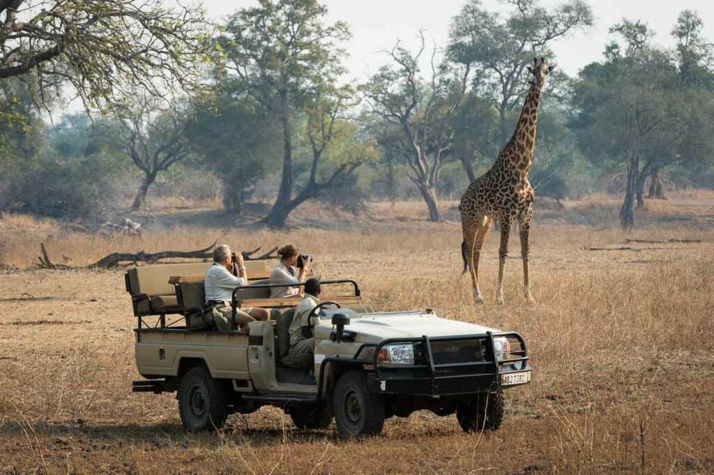 Luangwa River Camp