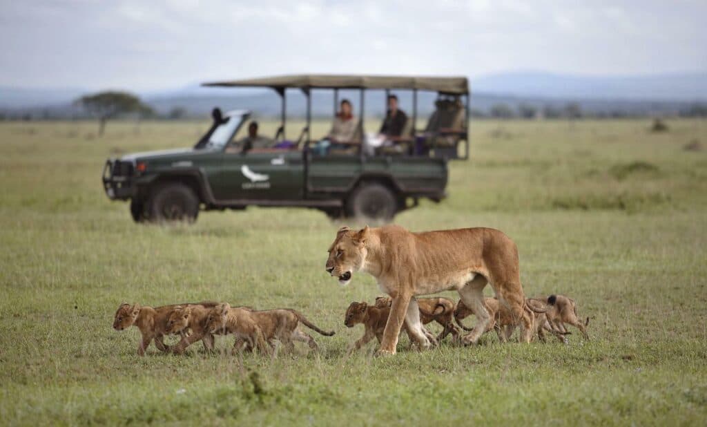 andBeyond Grumeti Serengeti River Lodge