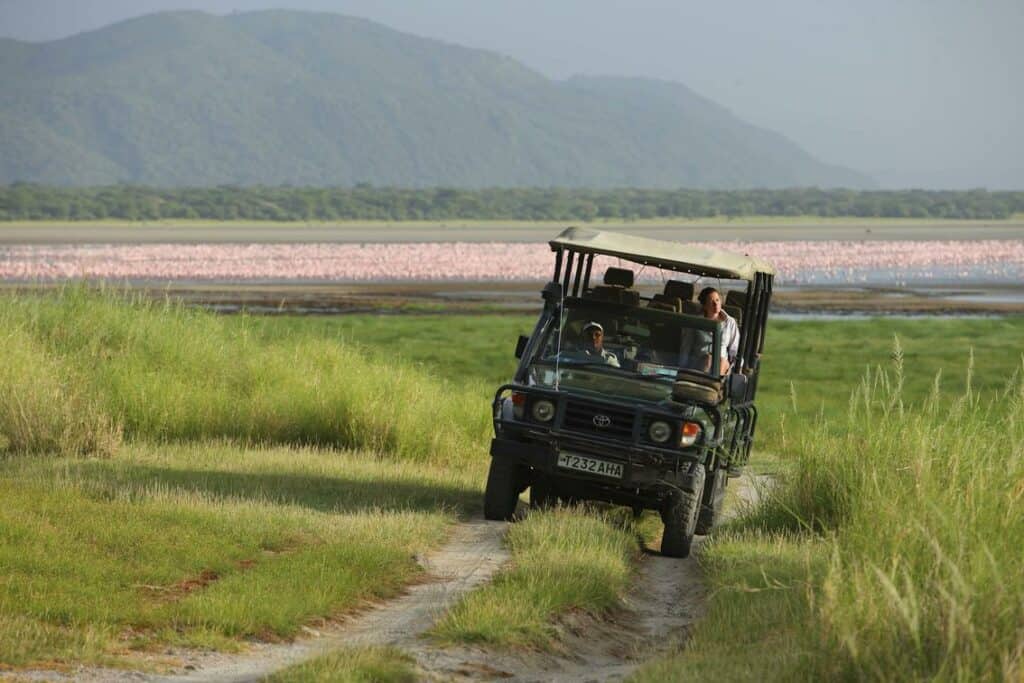 andBeyond Lake Manyara Tree Lodge