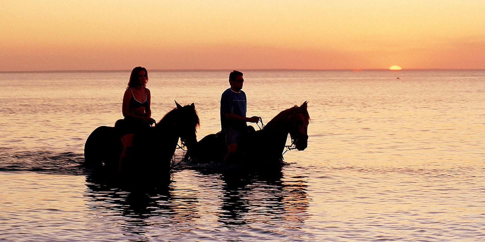Horseback riders riding through the waters on Bazaruto Island at sunset in Mozambique.