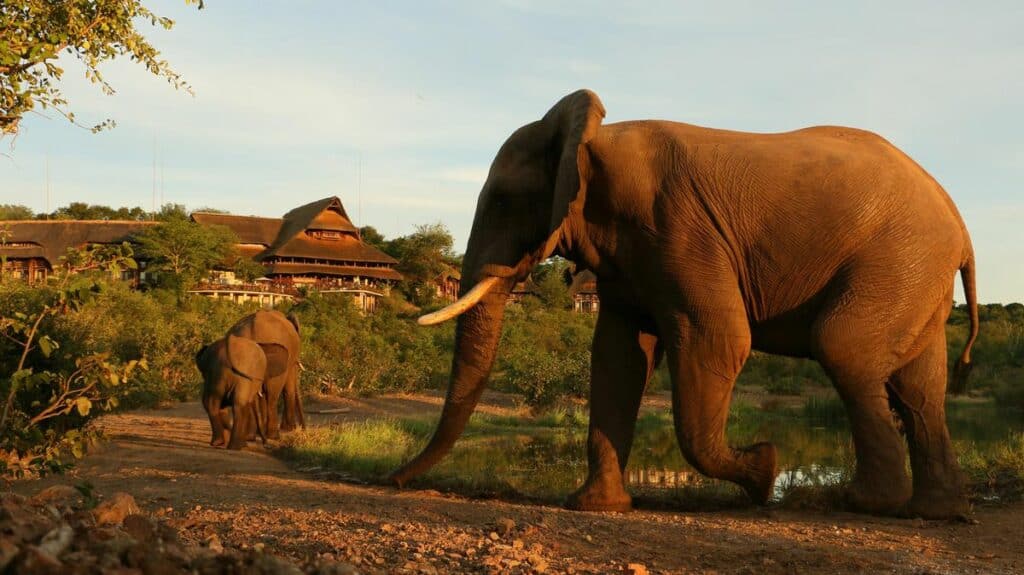 Victoria Falls Safari Club