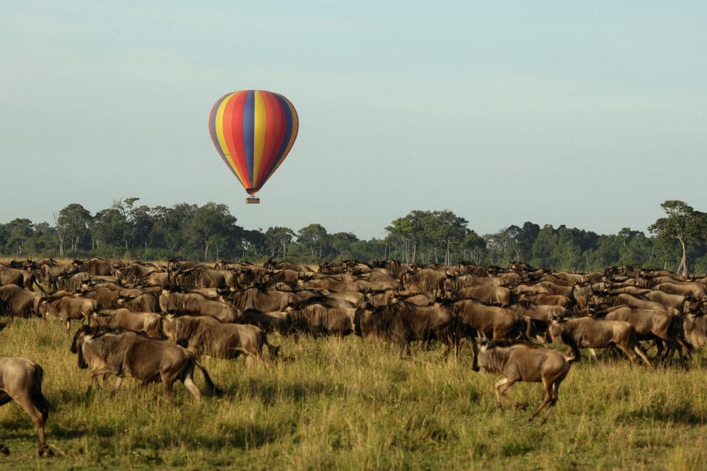 Hot-air balloon flies over the Great Migration.