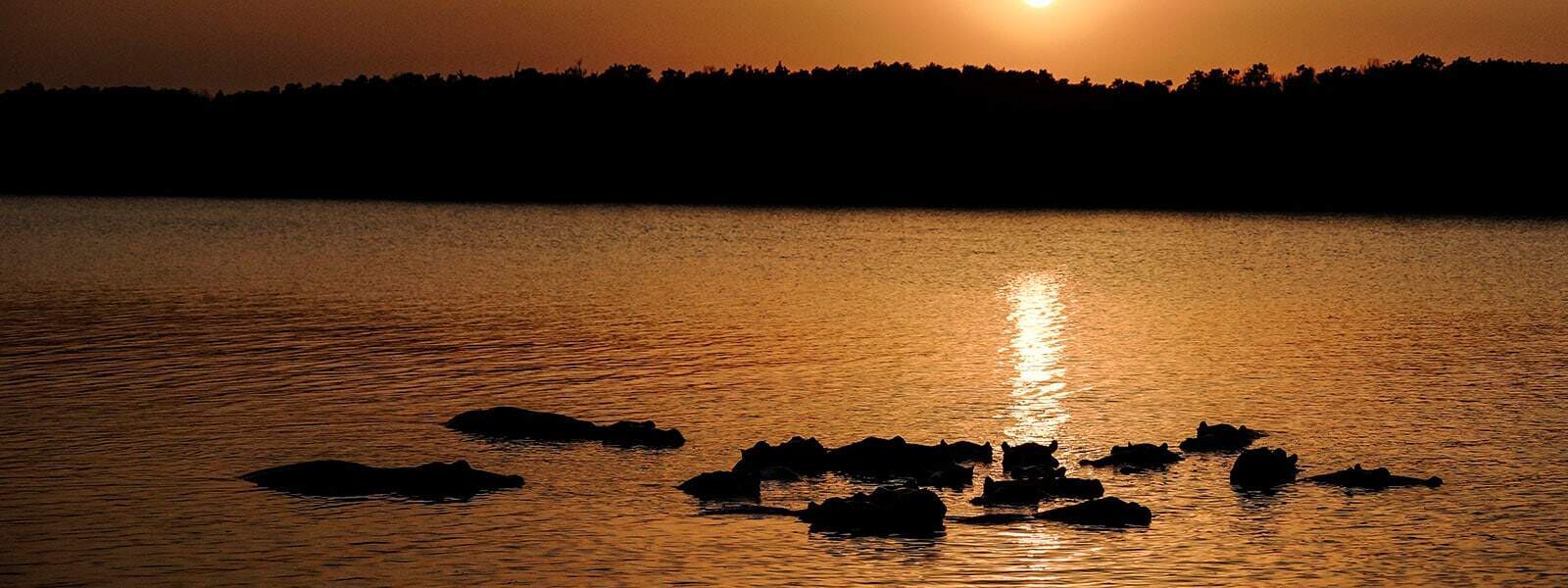 iSimangaliso is a paradise for wildlife lovers