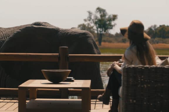 Elephant walking near the deck of Chief's Camp; a lodge in the Okavango Delta