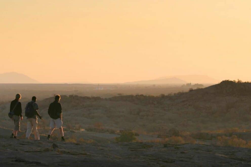 Walking safari in Botswana.