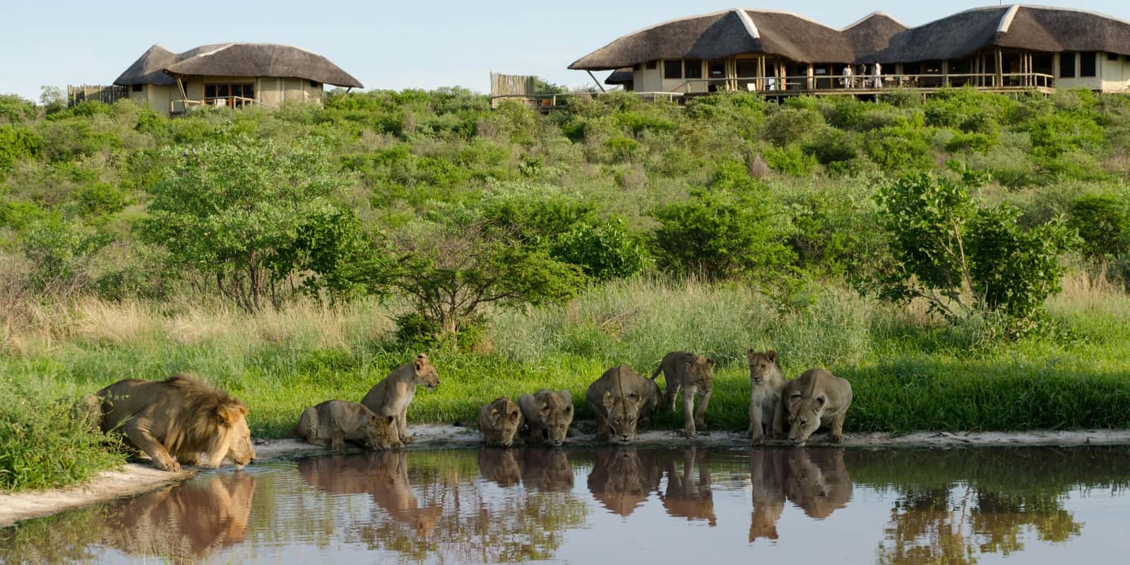 Exterior of the camp in the Kalahari during the green season. This can be booked for a Kalahari safari