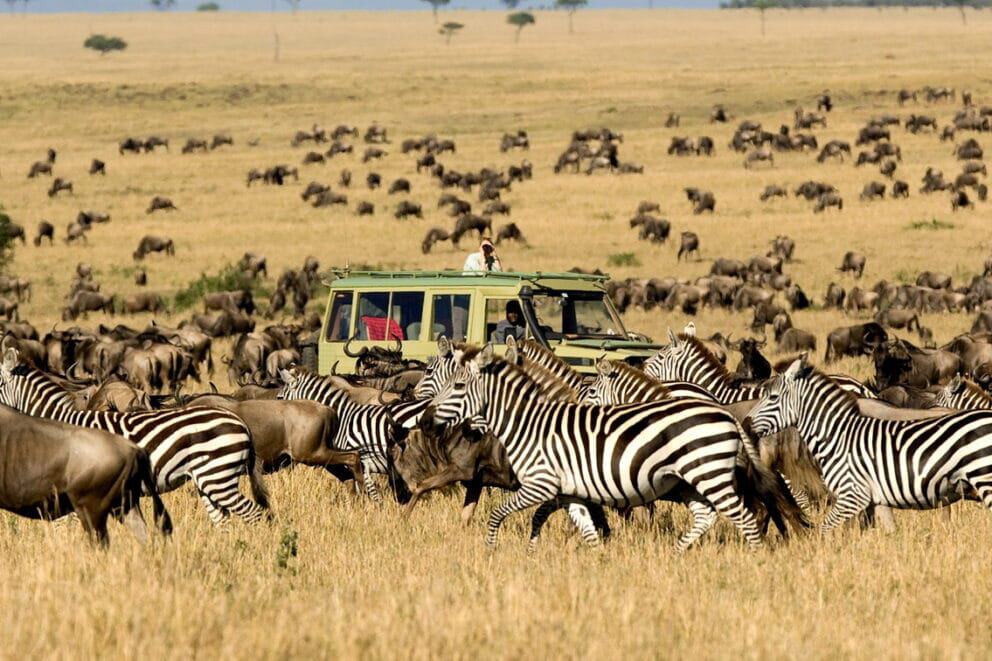 Great Migration Safaris