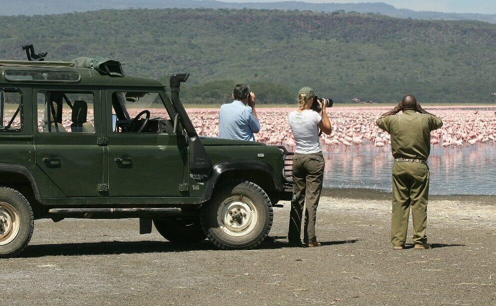 Birding Safaris