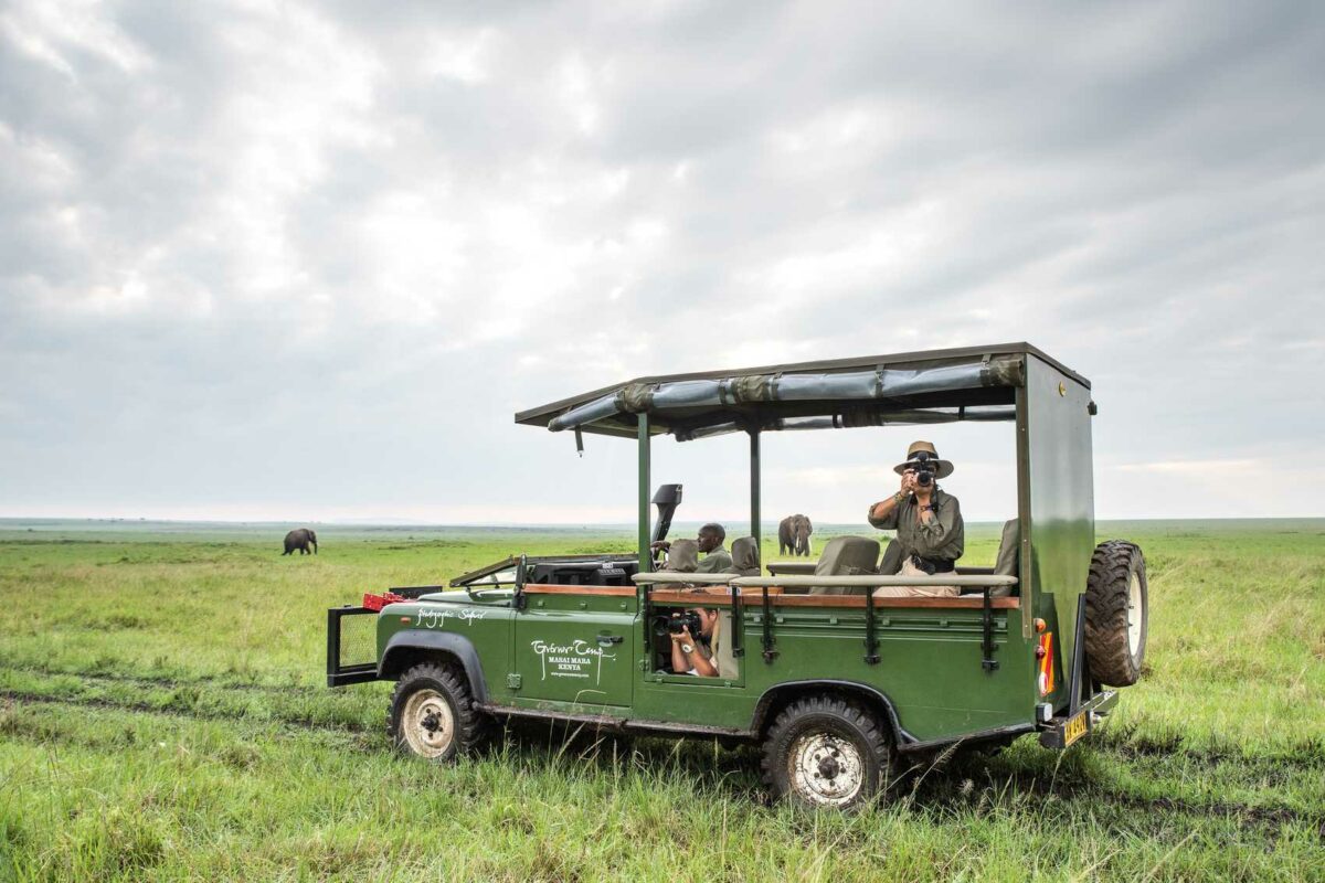 Luxury Safaris