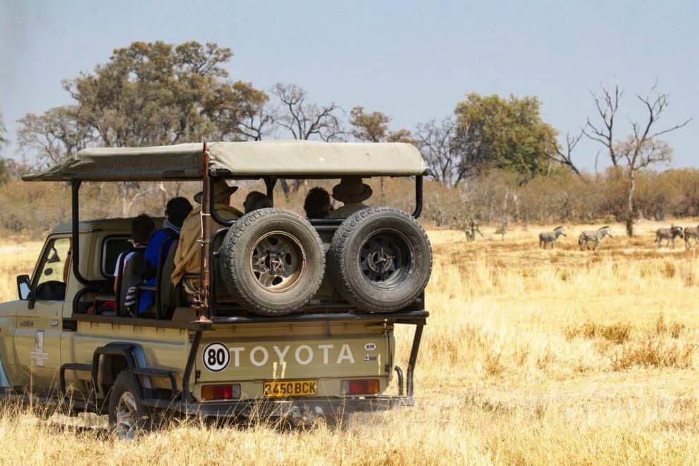 Game drive in Moremi Game Reserve, one of Botswana's national parks.