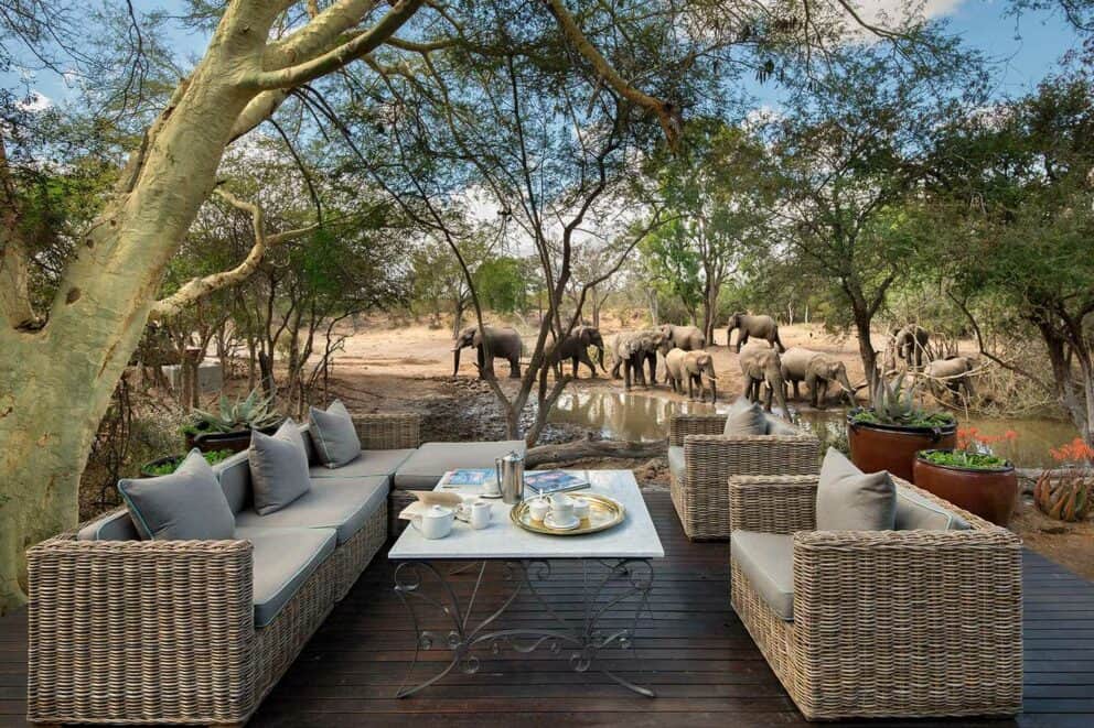 Elephants at a waterhole at Ngala Safari Lodge, South Africa.