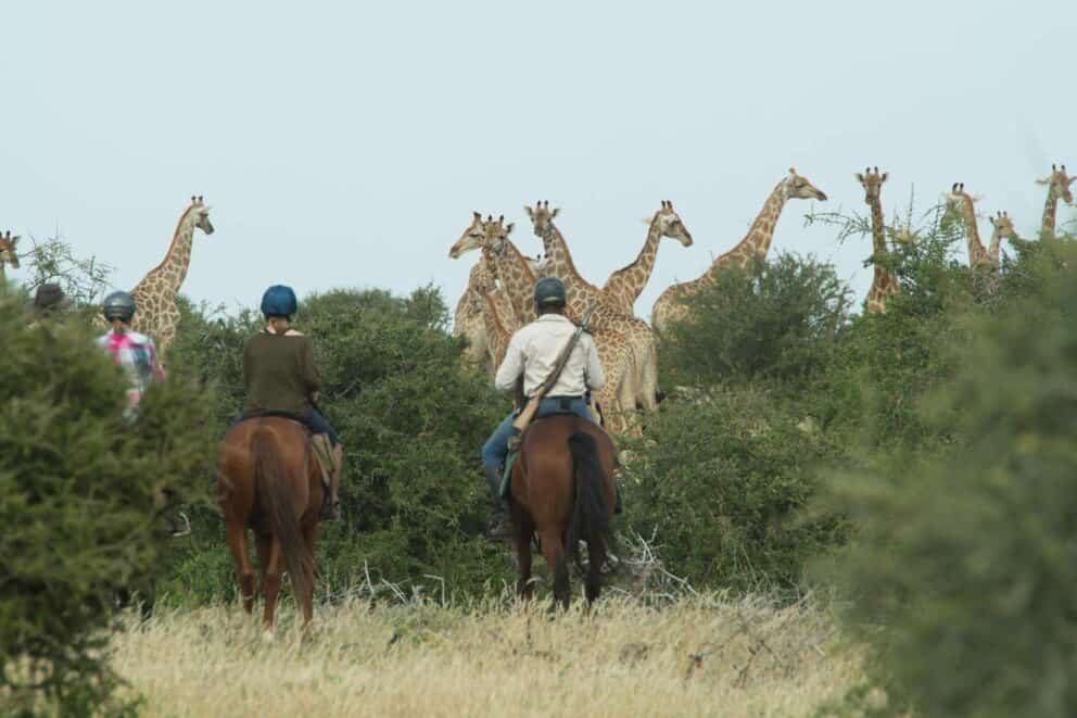 Horseback Safaris