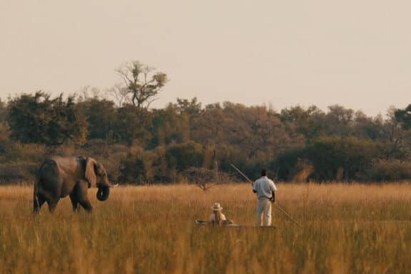 Walking safari in Botswana