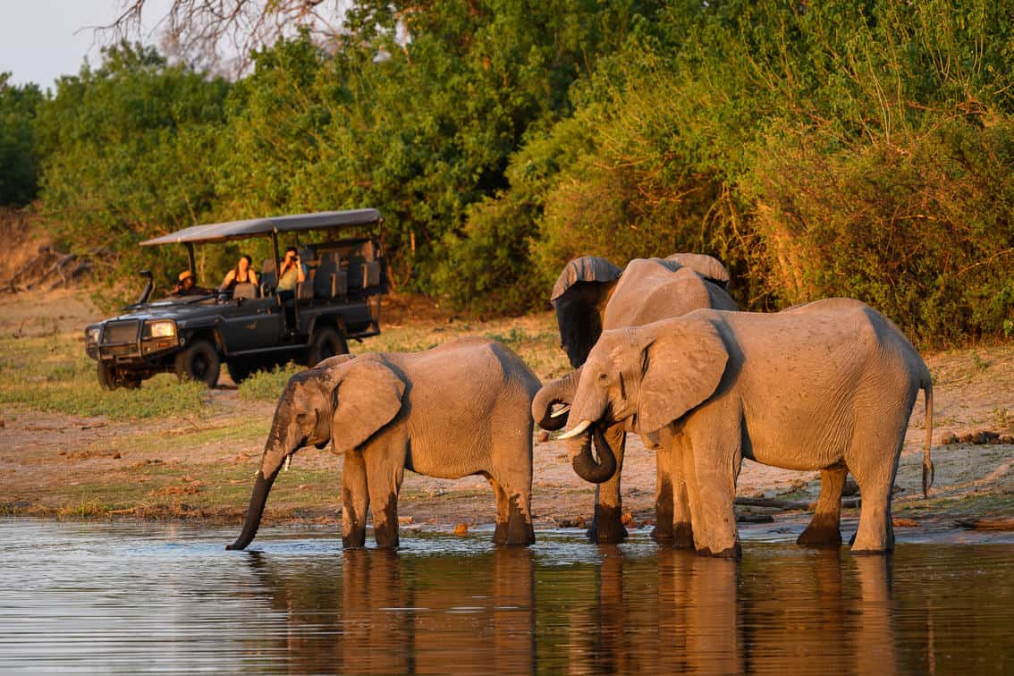A group of tourists in a safari vehicle observing elephants at a waterhole at King's Pool Camp, Linyanti Wildlife Reserve, Botswana.