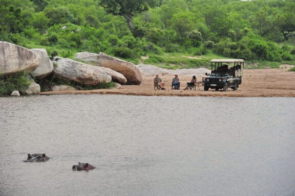 View of hippos relaxing in the river on a game drive in Kruger National Park