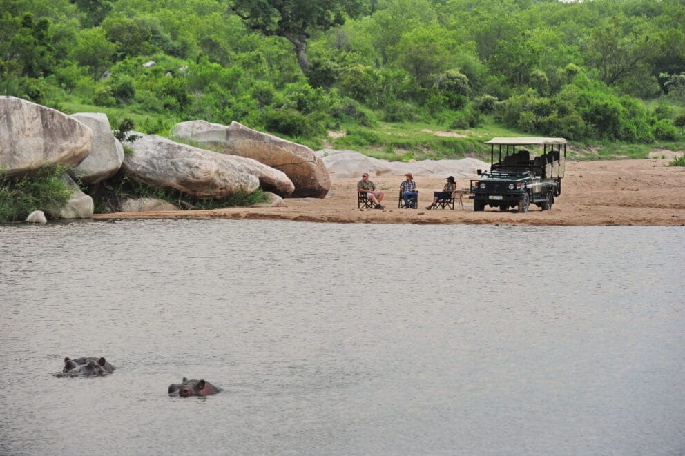View of hippos relaxing in the river on a game drive in Kruger National Park