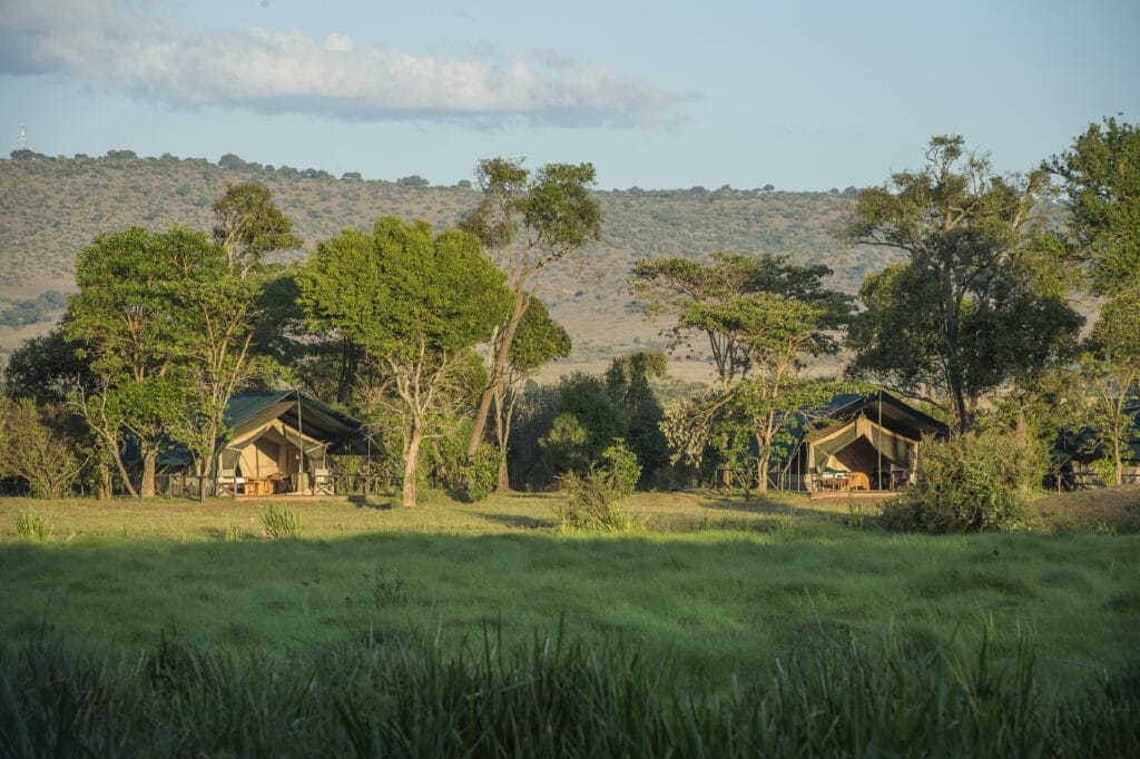 Little Governors' Camp tucked away in the trees.