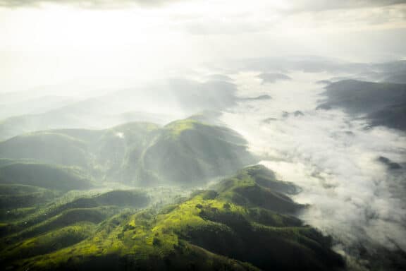 Aerial view of Bwindi Impenetrable Forest in Uganda. Photo: Sanctuary Gorilla Forest Lodge