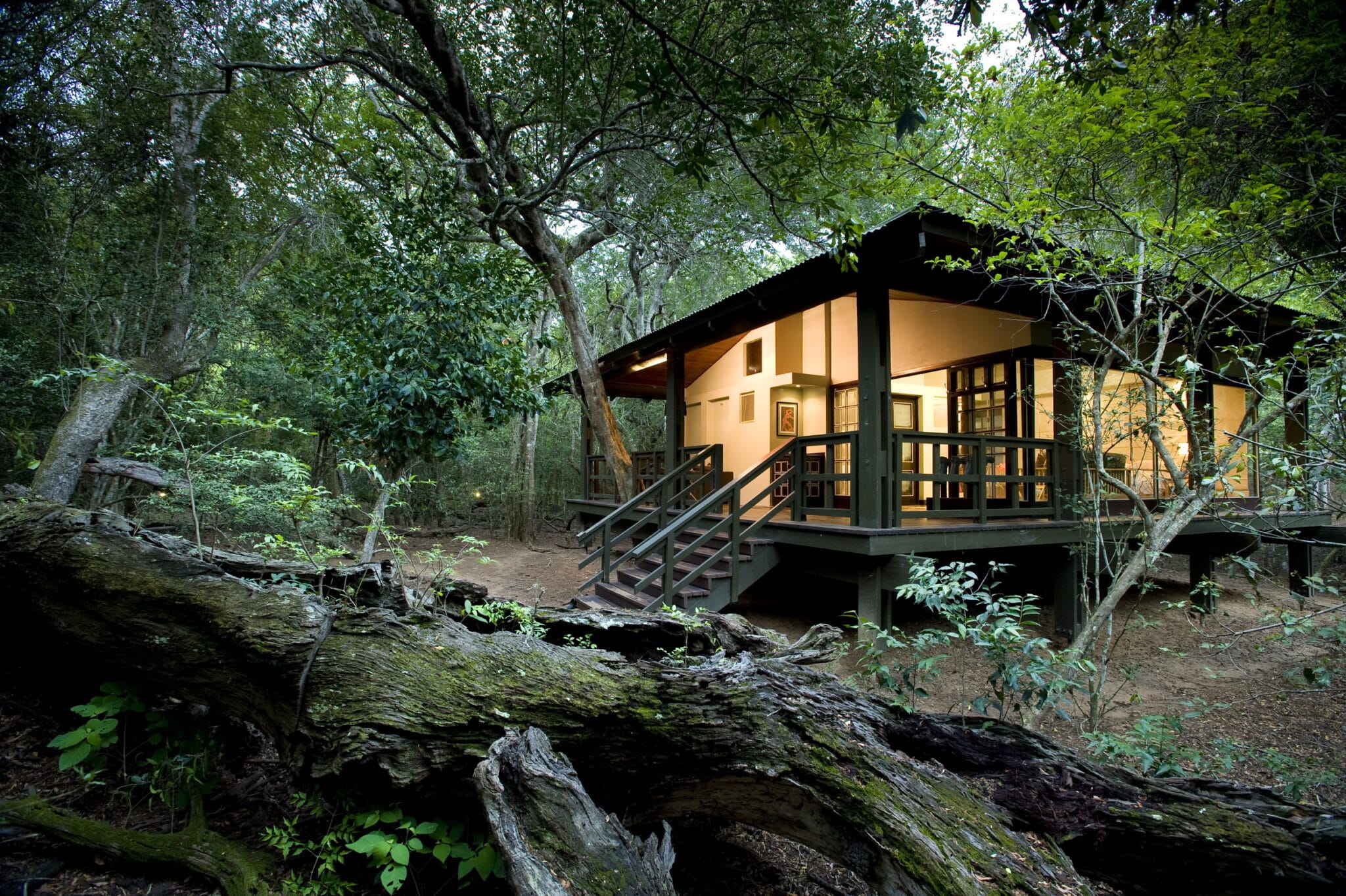 A luxury suite surrounded by ancient trees at Phinda Forest Lodge in Phinda Private Game Reserve, South Africa.