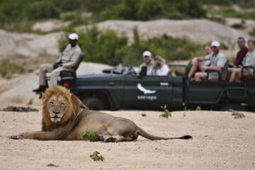 Sabi Sands Game Reserve