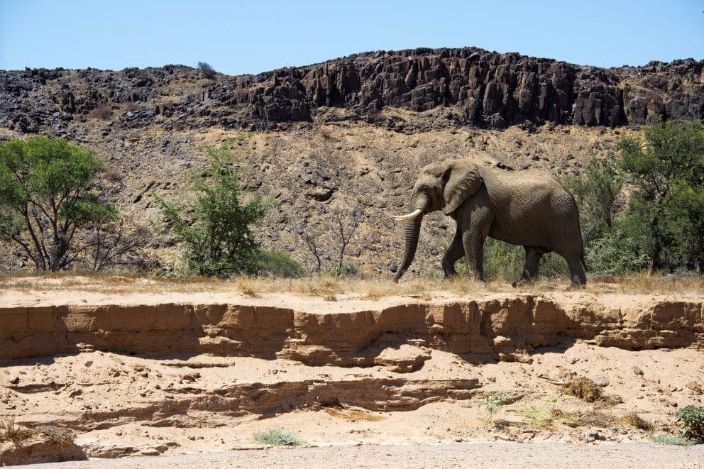 Damaraland Camp in Namibia