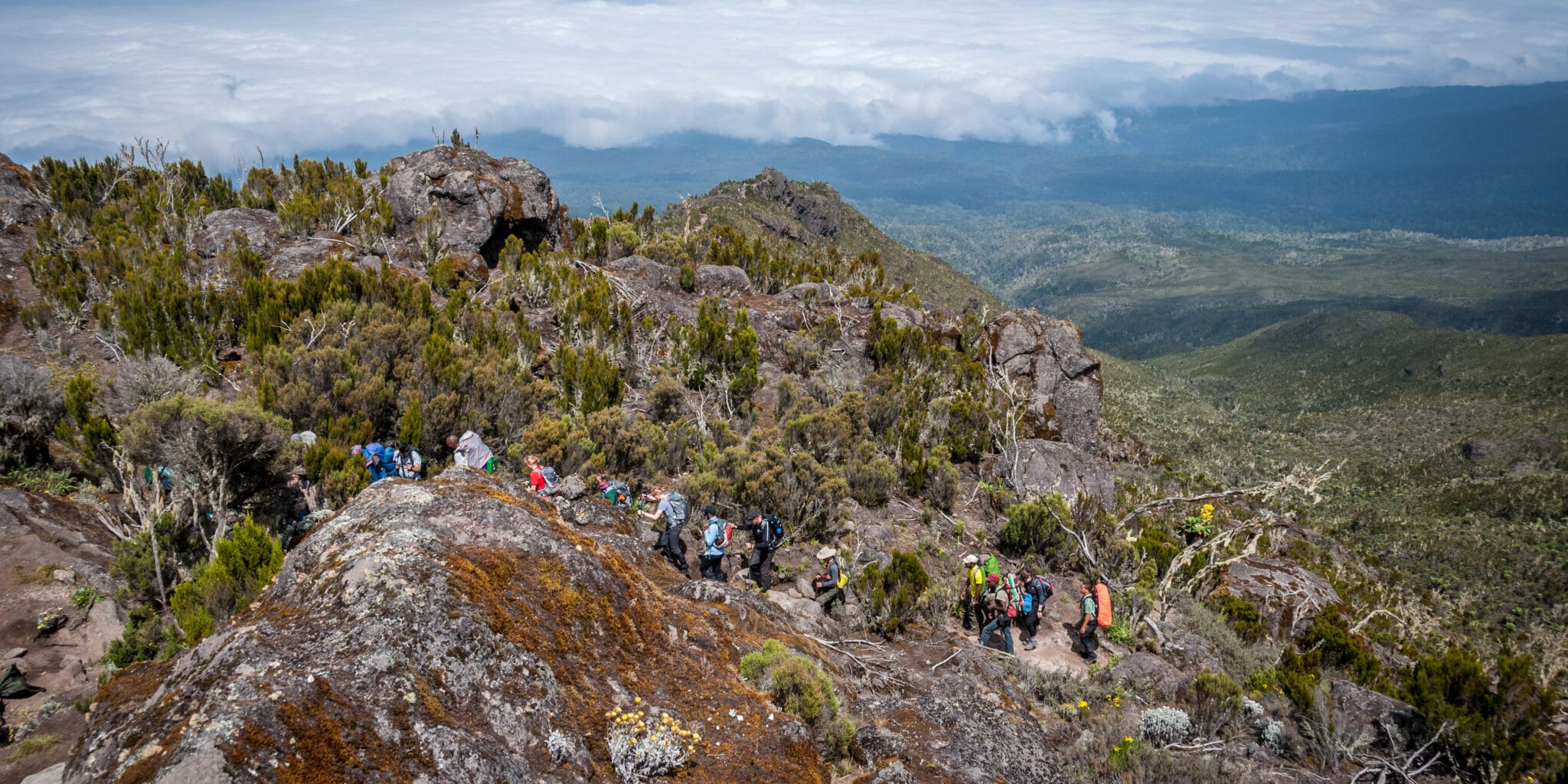 A group moving up a ridge line above the clouds towards the camp at Shira