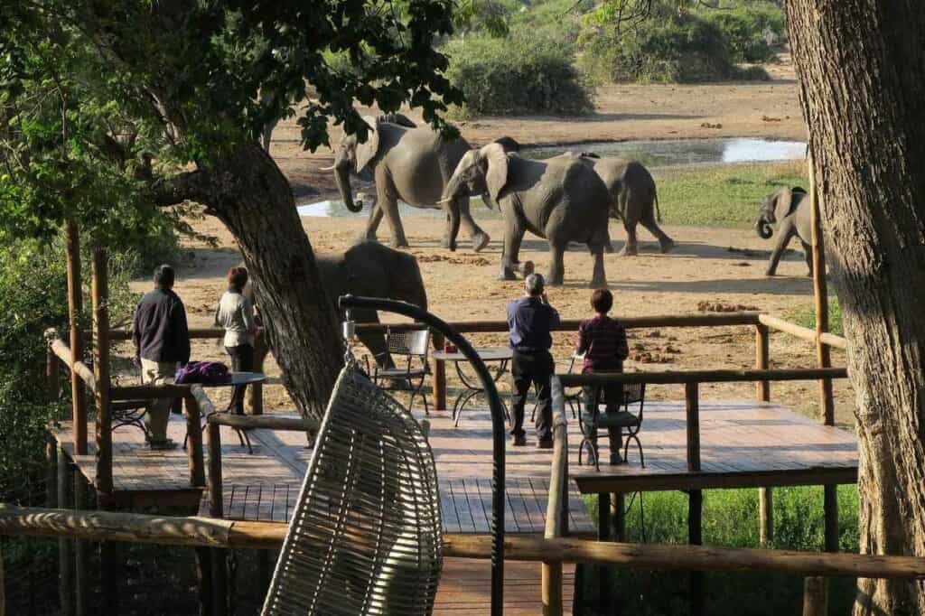 Elephant Valley Lodge