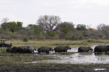 Liwonde National Park