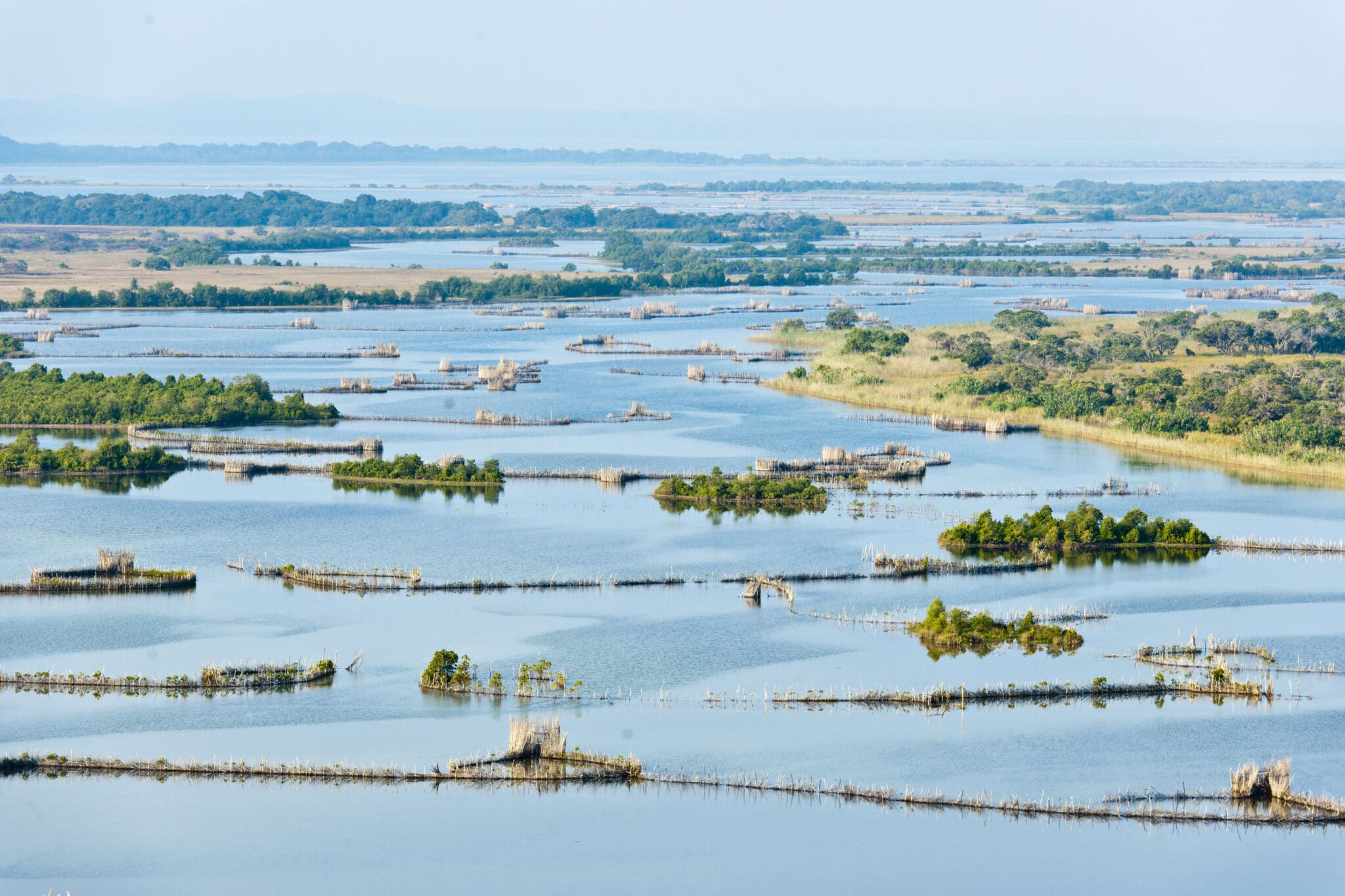 iSimangaliso Wetland Park is perfect for a birding safari