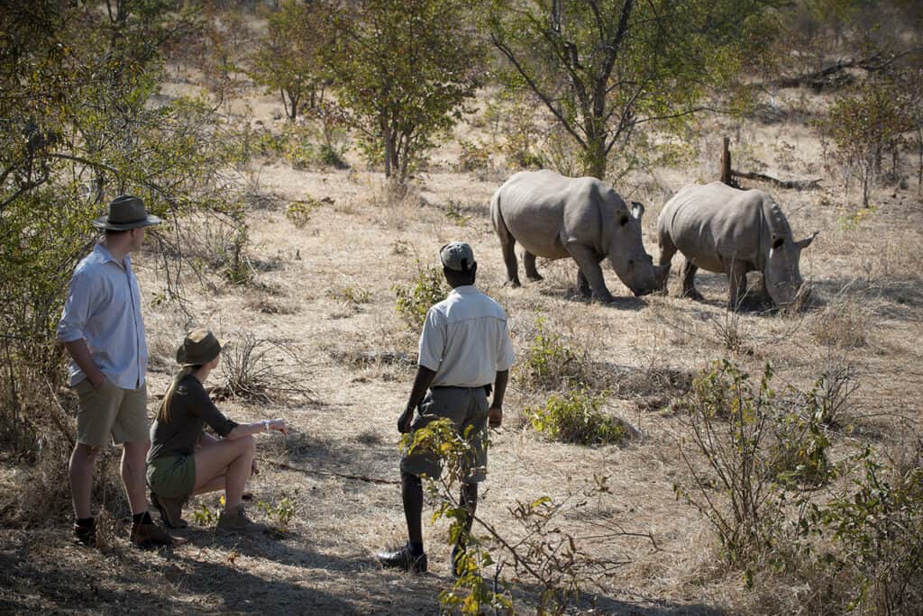 African Bush Camps Thorntree River Lodge