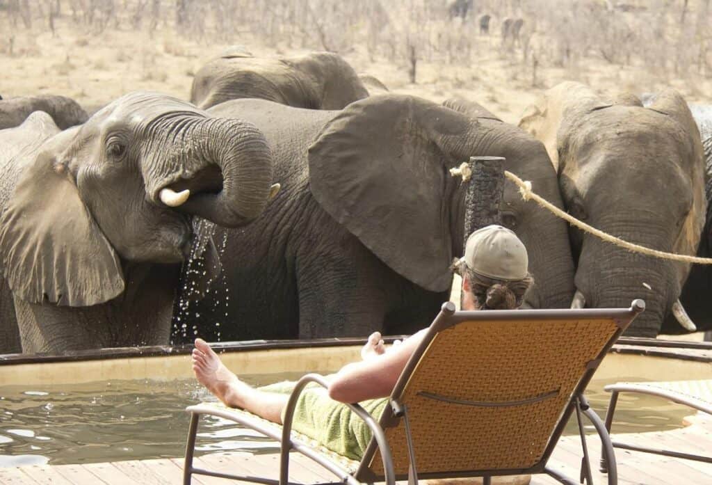Khulu Bush Camp